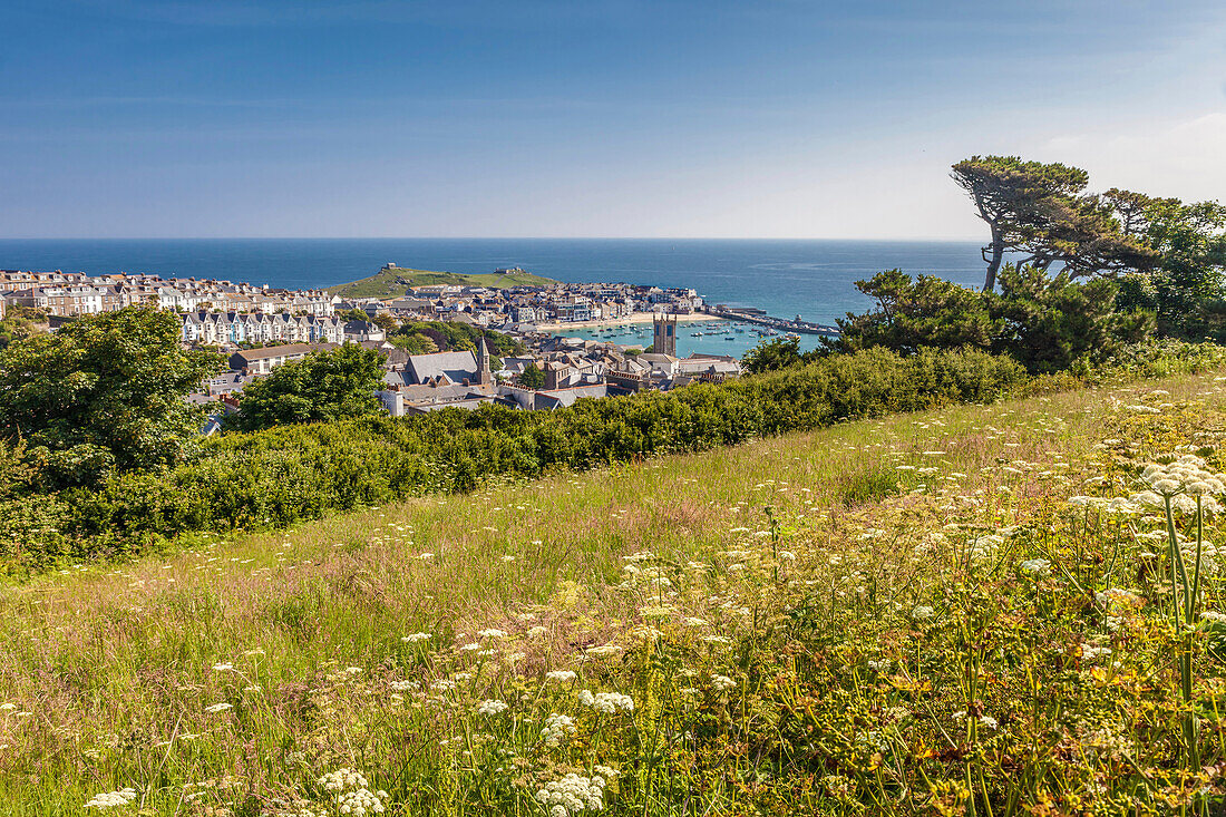 Blick auf Altstadt und Hafen von St. Ives, Cornwall, England