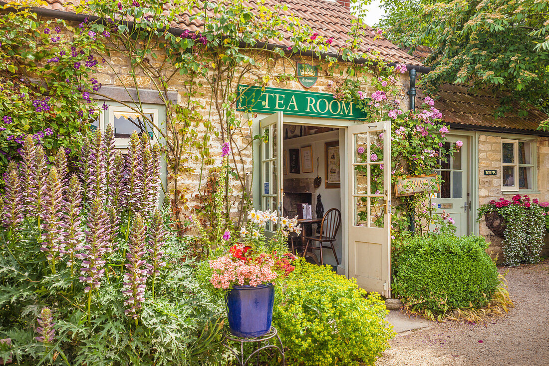 Tea room in the village of Lacock, Wiltshire, England