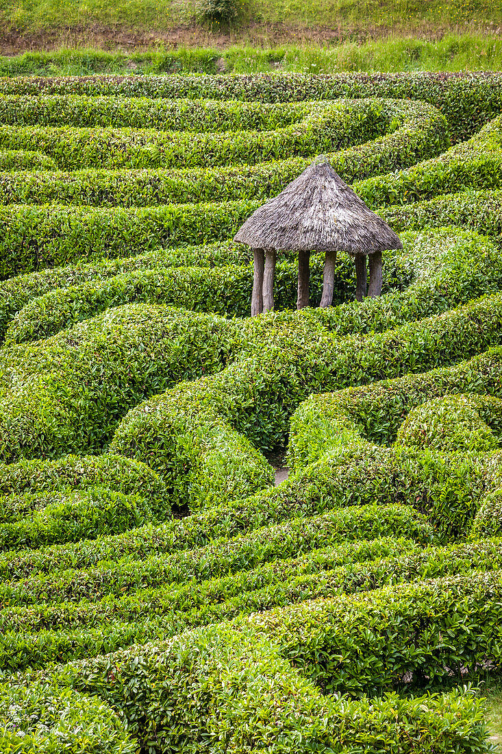 Labyrinth im Glendurgan Garden, Falmouth, Cornwall, England