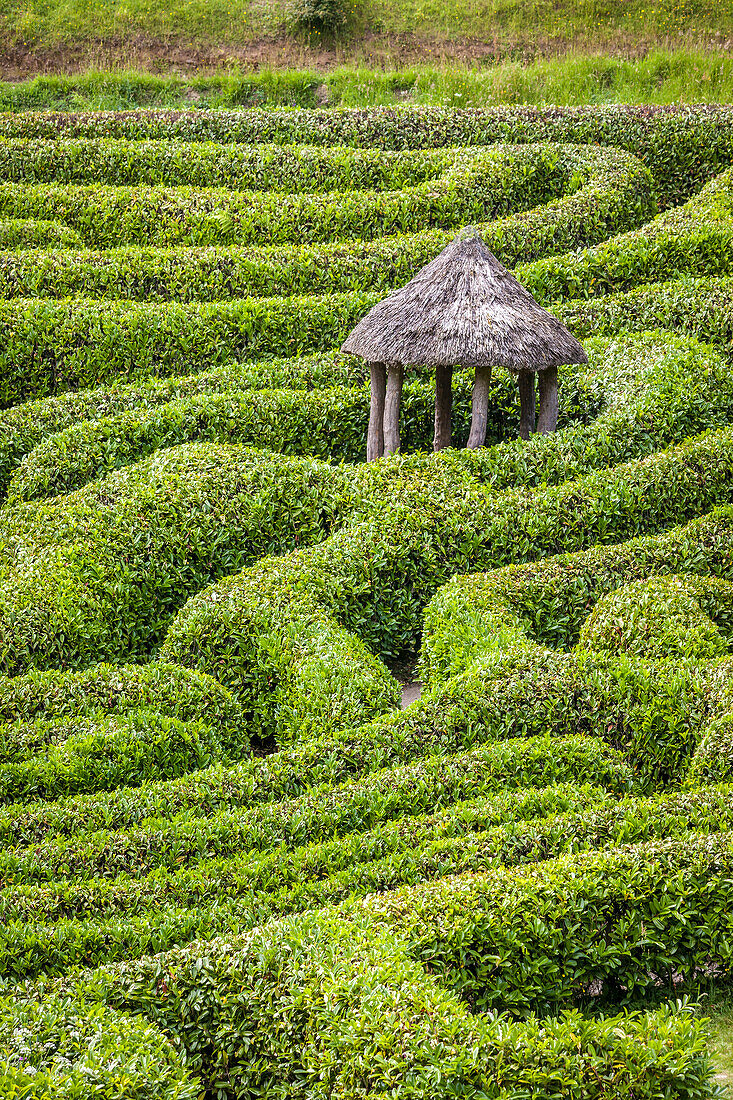 Labyrinth in Glendurgan Garden, Falmouth, Cornwall, England