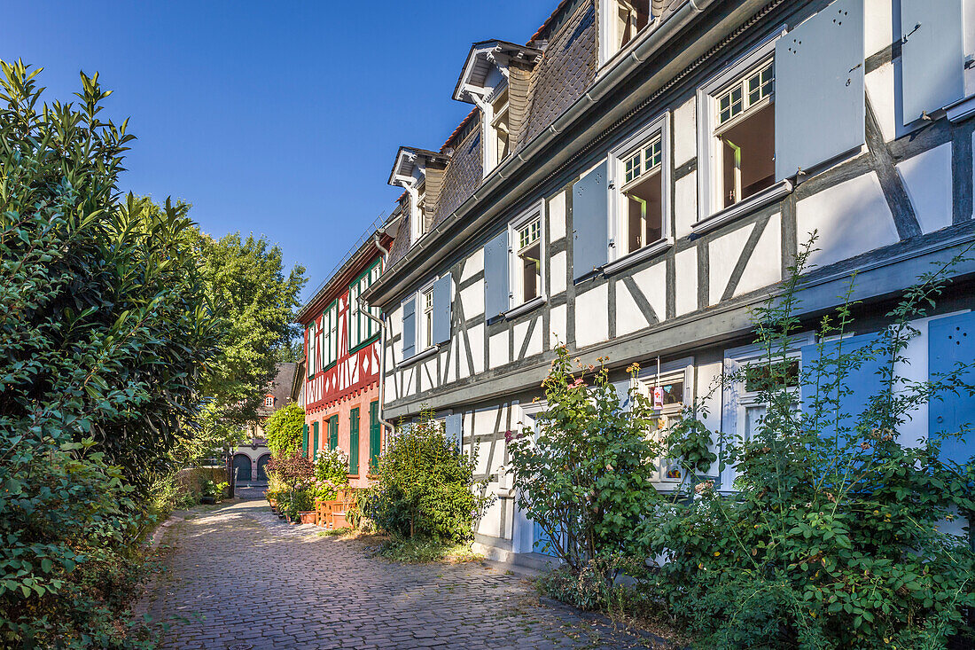 Fachwerkhäuser in der Altstadt von Frankfurt-Höchst, Frankfurt, Hessen, Deutschland