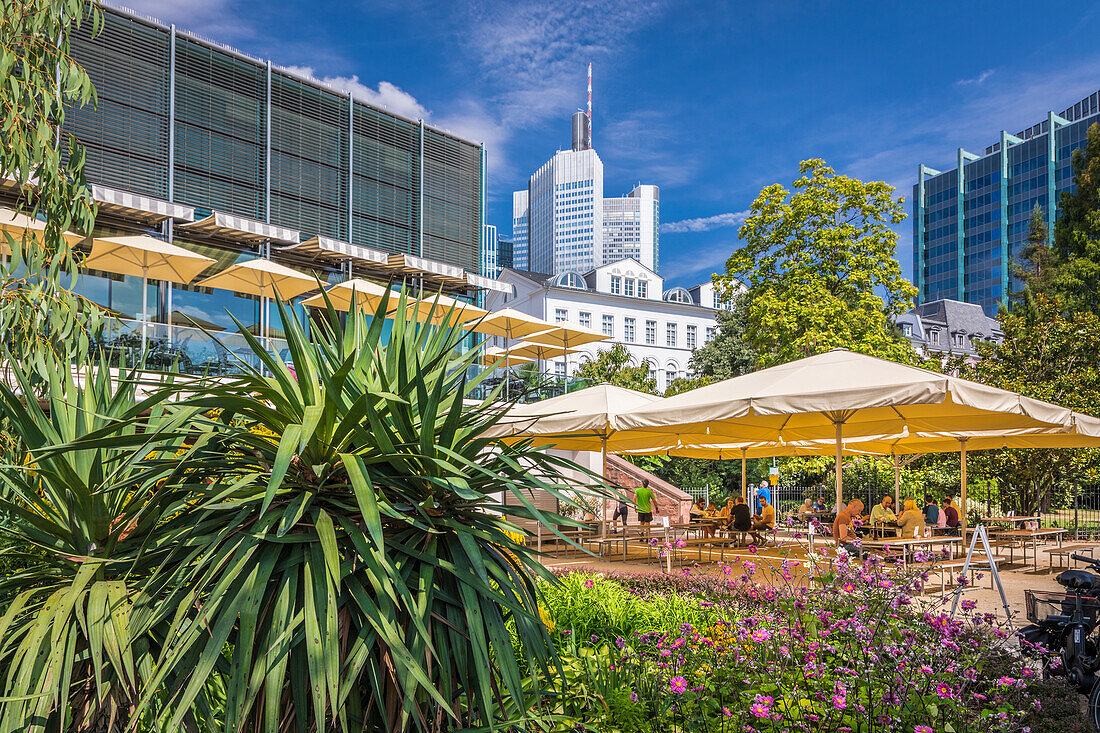 Sommerstimmung im Gartenlokal am Untermainkai, Frankfurt, Hessen, Deutschland