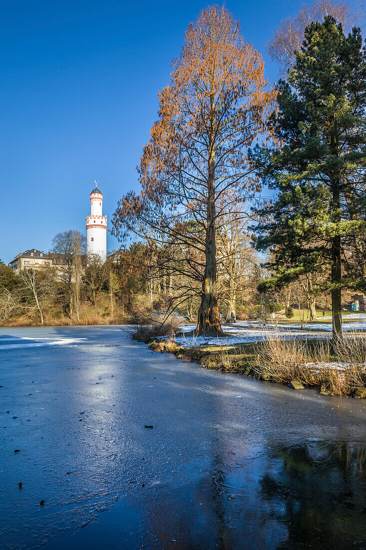 Frozen pond in the castle park of Bad Homburg in front of the height with white tower, Taunus, Hesse, Germany