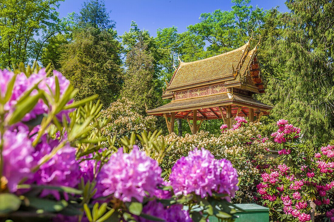 Thai-Sala Thai temple in the spa gardens of Bad Homburg vor der Höhe, Taunus, Hesse, Germany