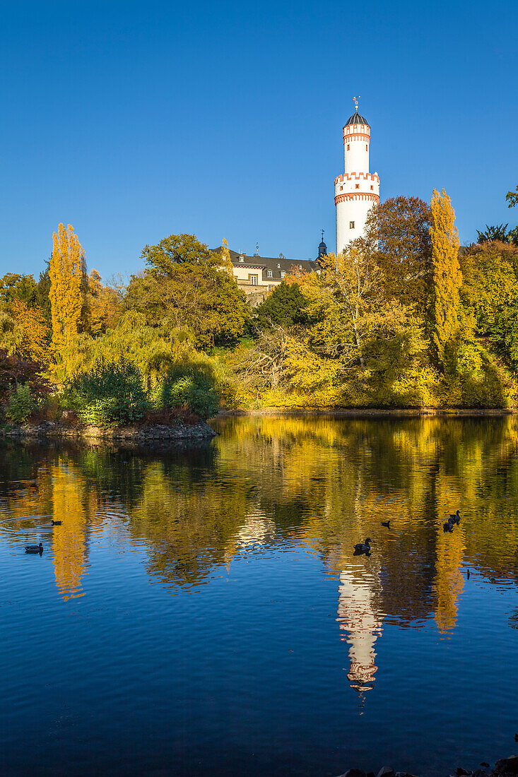 Pond in the castle park of Bad Homburg in front of the height with the white tower, Taunus, Hesse, Germany