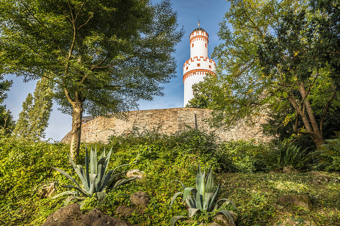 White tower of Bad Homburg Castle in front of the elevation seen from the castle park, Taunus, Hesse, Germany