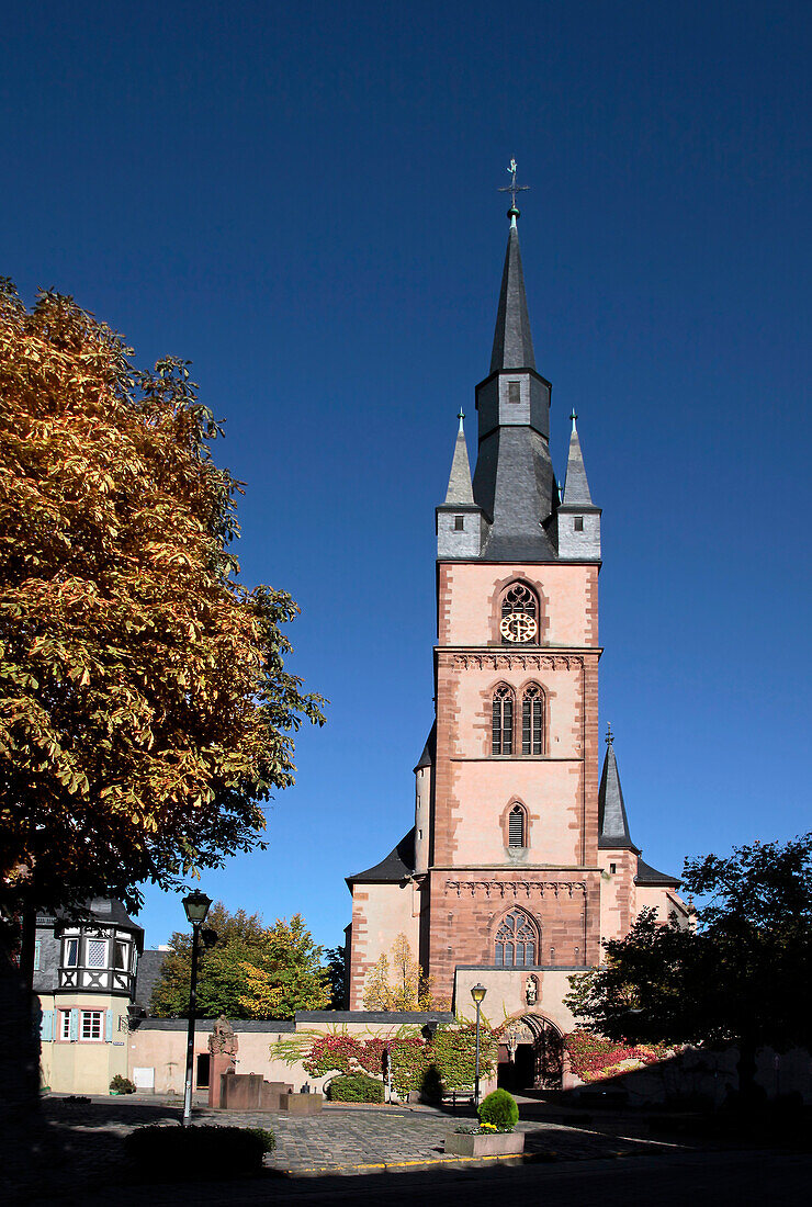 Katholische Pfarrkirche St. Valentinus (Kiedrich), Rheingau, Hessen, Deutschland
