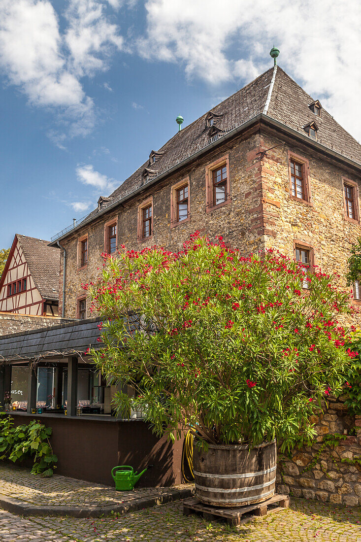 Torbogen an einem Weingut im Rheingau, Hessen, Deutschland