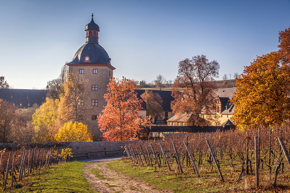 Schloss Vollrads in den Weinbergen oberhalb Oestrich-Winkel, Rheingau, Hessen, Deutschland