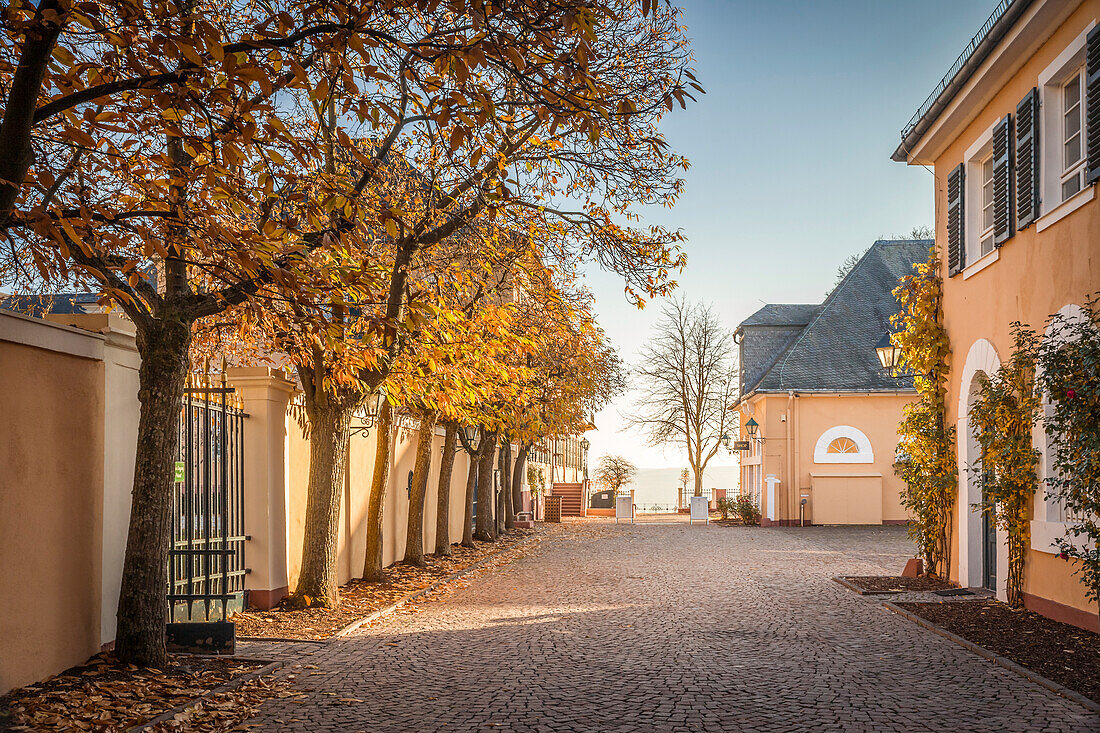 Autumn mood at Johannisberg Castle, Rheingau, Hesse, Germany