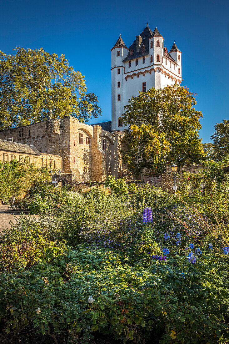 Kurfürstliche Burg Eltville, Rheingau, Hessen, Deutschland