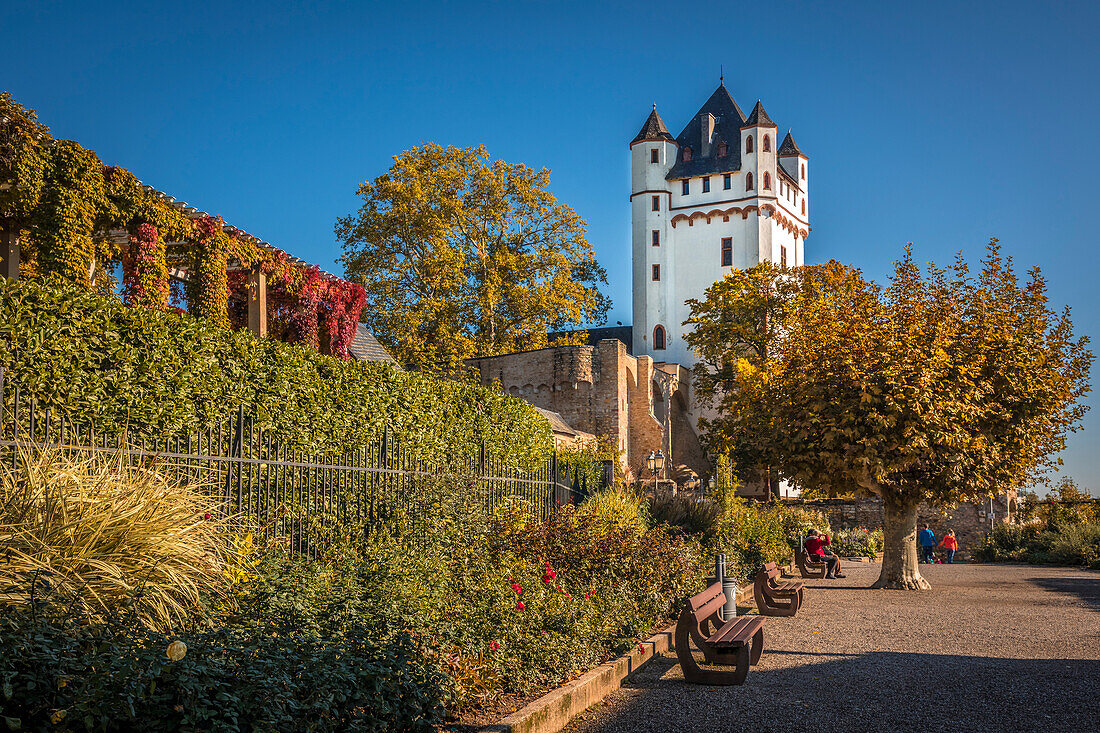 Kurfürstliche Burg Eltville, Rheingau, Hessen, Deutschland