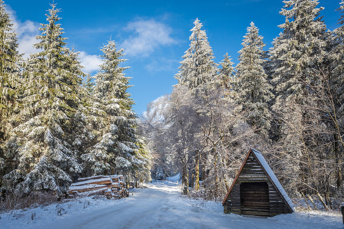 Circular hiking trail in the winter forest at Kahler Asten near Winterberg, Sauerland, North Rhine-Westphalia, Germany