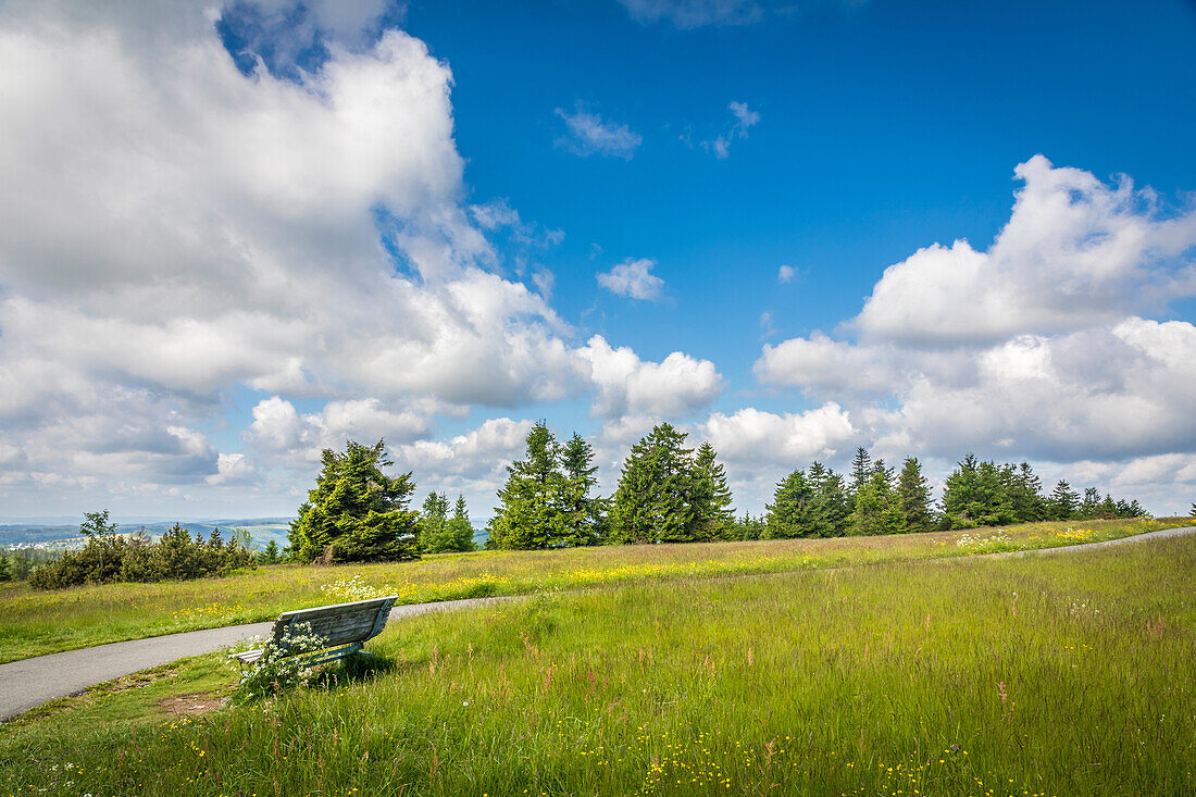 Wanderweg auf dem Gipfelplateau des Kahlen Asten bei Winterberg, Sauerland, Nordrhein-Westfalen, Deutschland