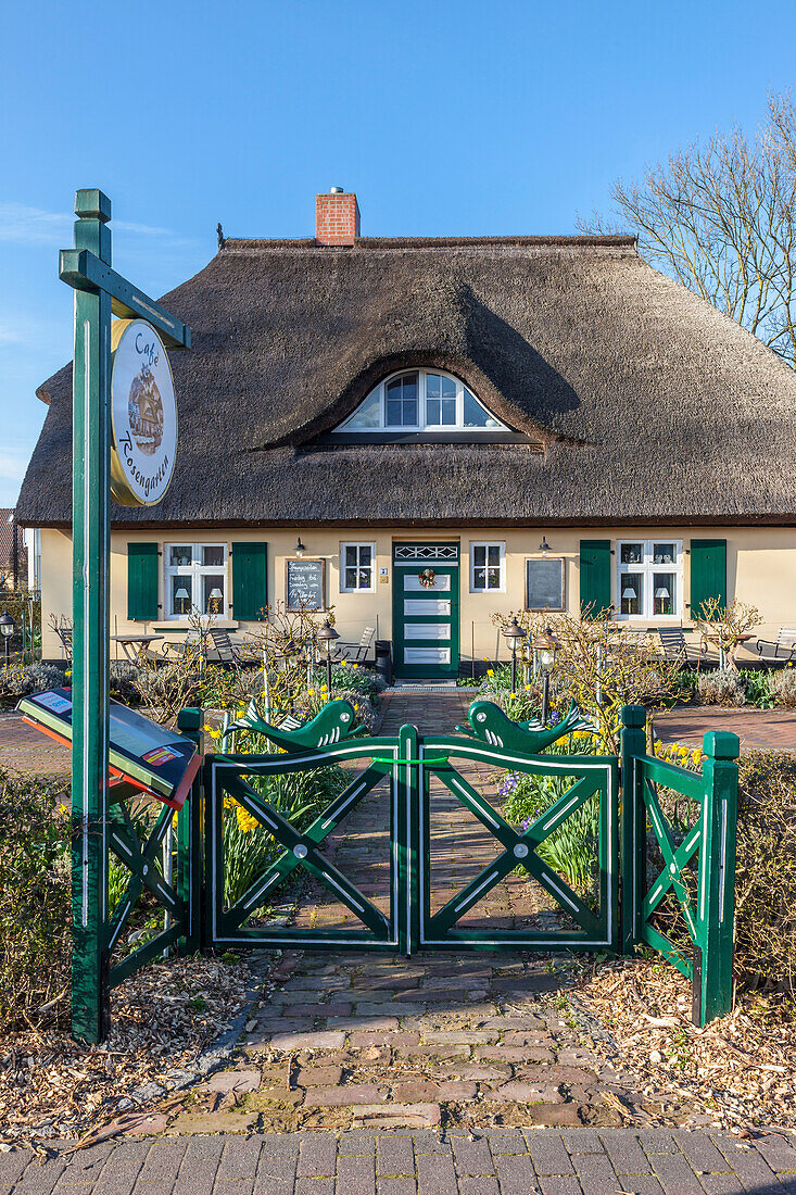 Cafe Rosengarten in historic thatched cottage in Zingst, Mecklenburg-West Pomerania, North Germany, Germany