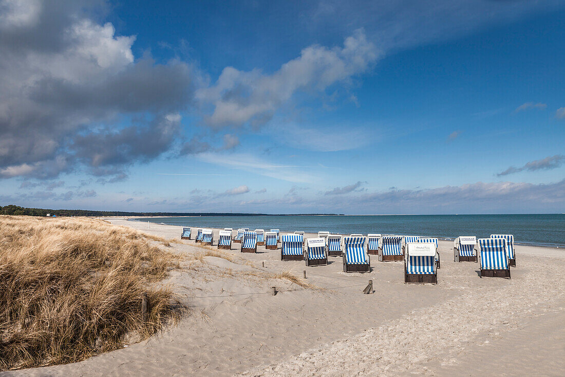 Beach chairs in Prerow, Mecklenburg-West Pomerania, North Germany, Germany