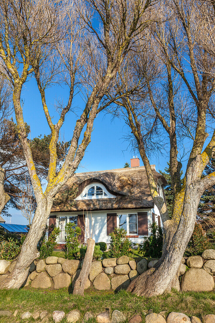 Idyllic thatched cottage in Ahrenshoop, Mecklenburg-West Pomerania, Northern Germany, Germany