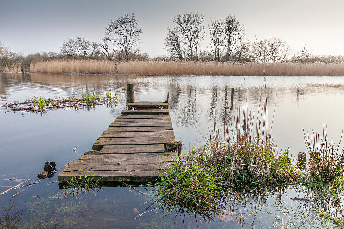 Flooded footbridge near Ribnitz-Damgarten, Mecklenburg-West Pomerania, North Germany, Germany