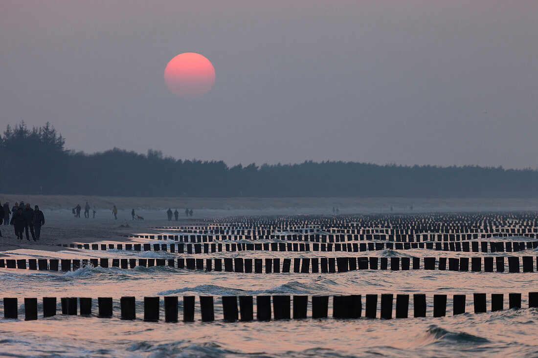 Buhnen am Strand von Zingst, Mecklenburg-Vorpommern, Norddeutschland, Deutschland