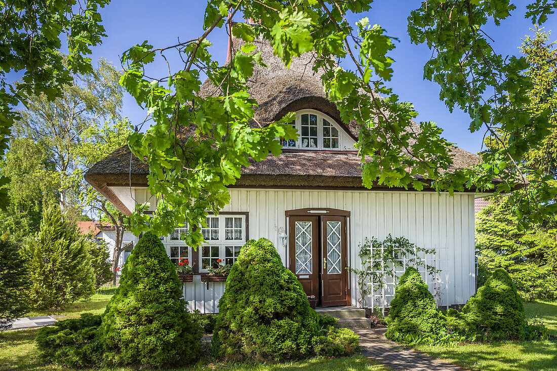 Old thatched cottage in Prerow, Mecklenburg-West Pomerania, Northern Germany, Germany