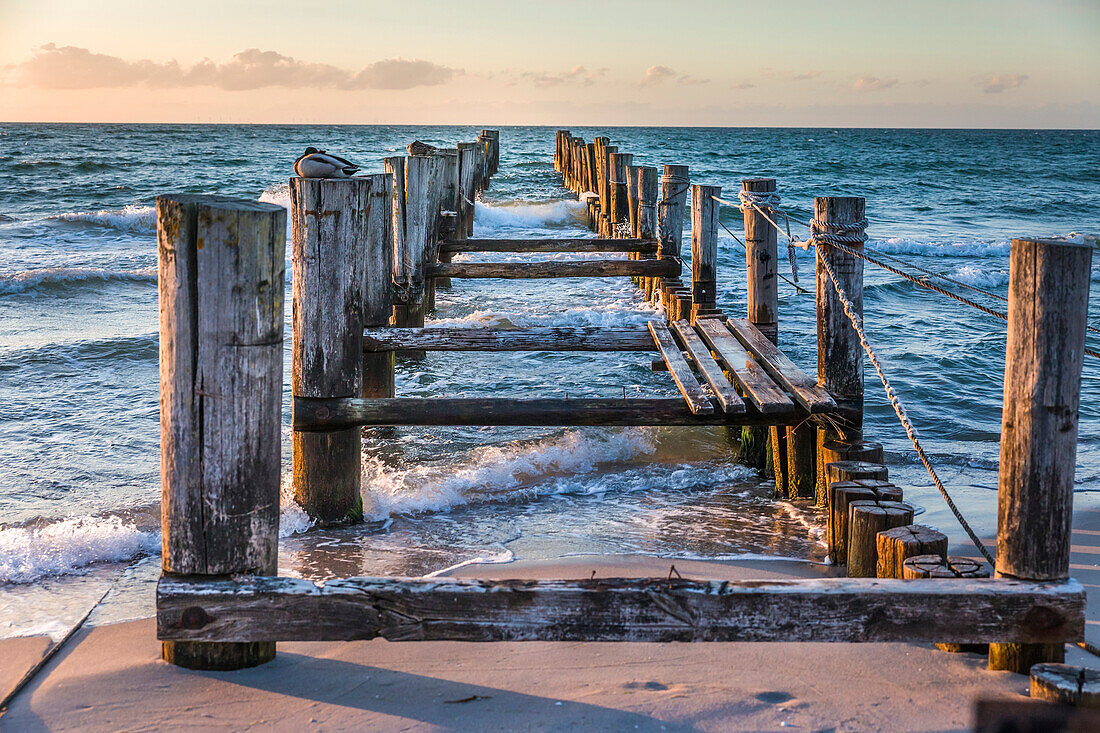 Verwitterter Holzsteg am Strand in Zingst, Mecklenburg-Vorpommern, Norddeutschland, Deutschland