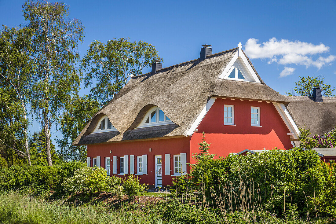 Traditionelles Reetdachhaus im Hafen von Prerow, Mecklenburg-Vorpommern, Norddeutschland, Deutschland