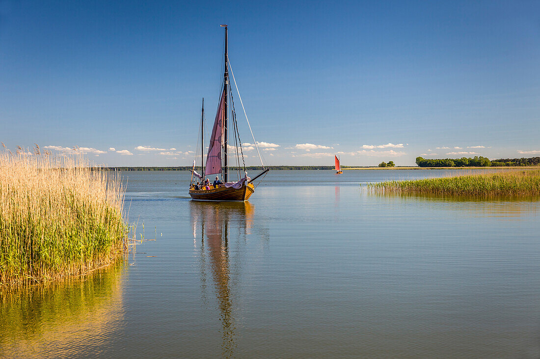 Zeesenboot auf dem Bodden bei Althagen, Mecklenburg-Vorpommern, Norddeutschland, Deutschland