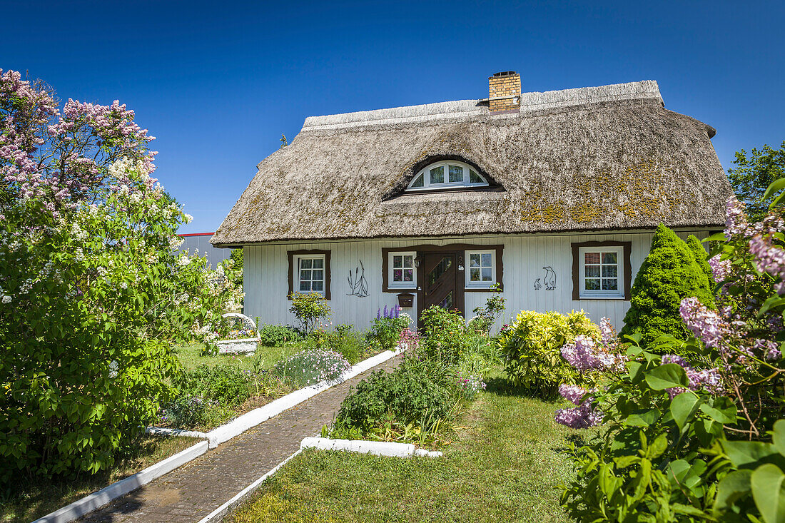 Historic thatched roof house in Born am Darss, Mecklenburg-West Pomerania, Northern Germany, Germany