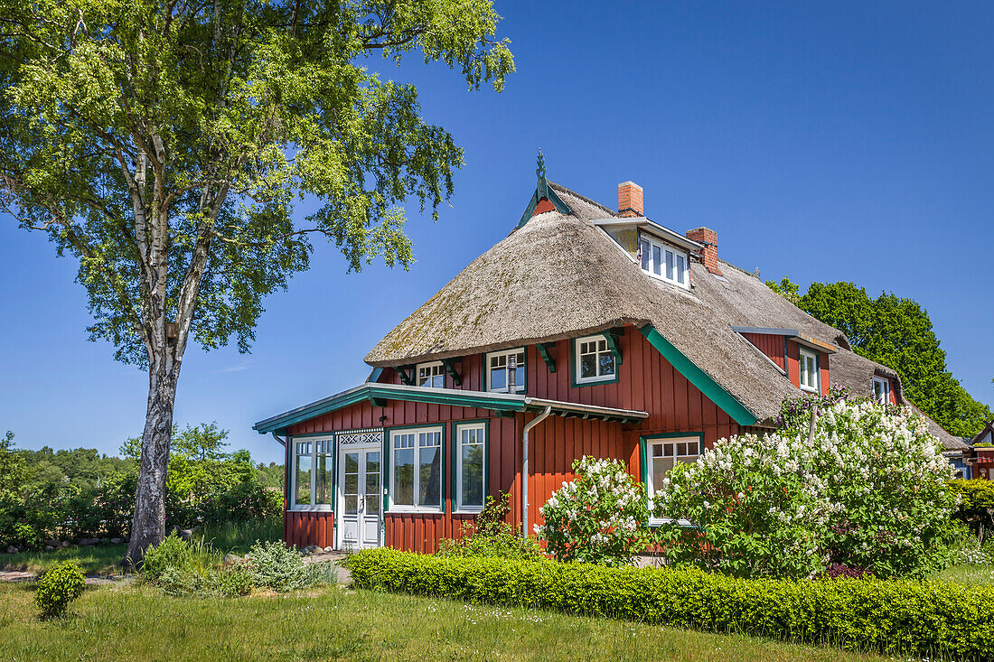 Historic thatched cottage in Prerow, Mecklenburg-West Pomerania, Northern Germany, Germany