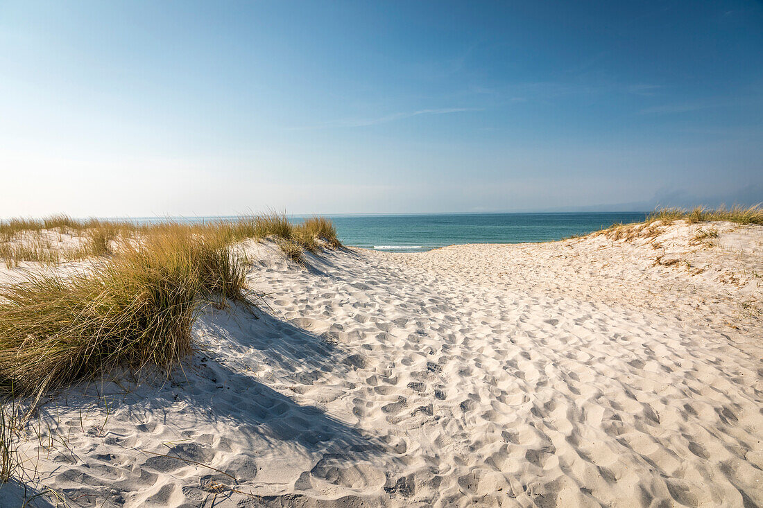 Beach access north of Ahrenshoop, Mecklenburg-West Pomerania, Northern Germany, Germany