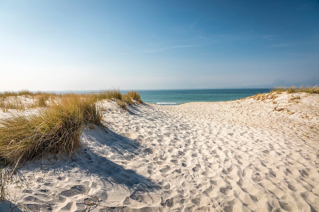 Strandzugang nördlich von Ahrenshoop, Mecklenburg-Vorpommern, Norddeutschland, Deutschland