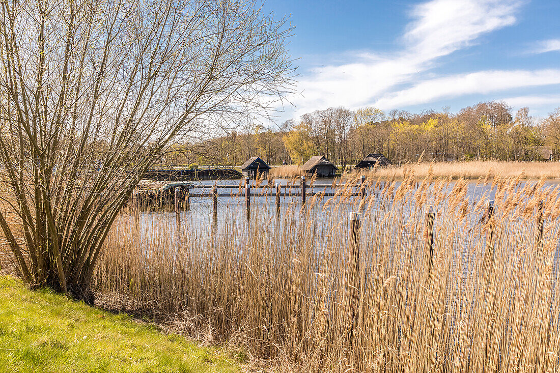 Bootshäuser im Boddenhafen von Prerow, Mecklenburg-Vorpommern, Norddeutschland, Deutschland