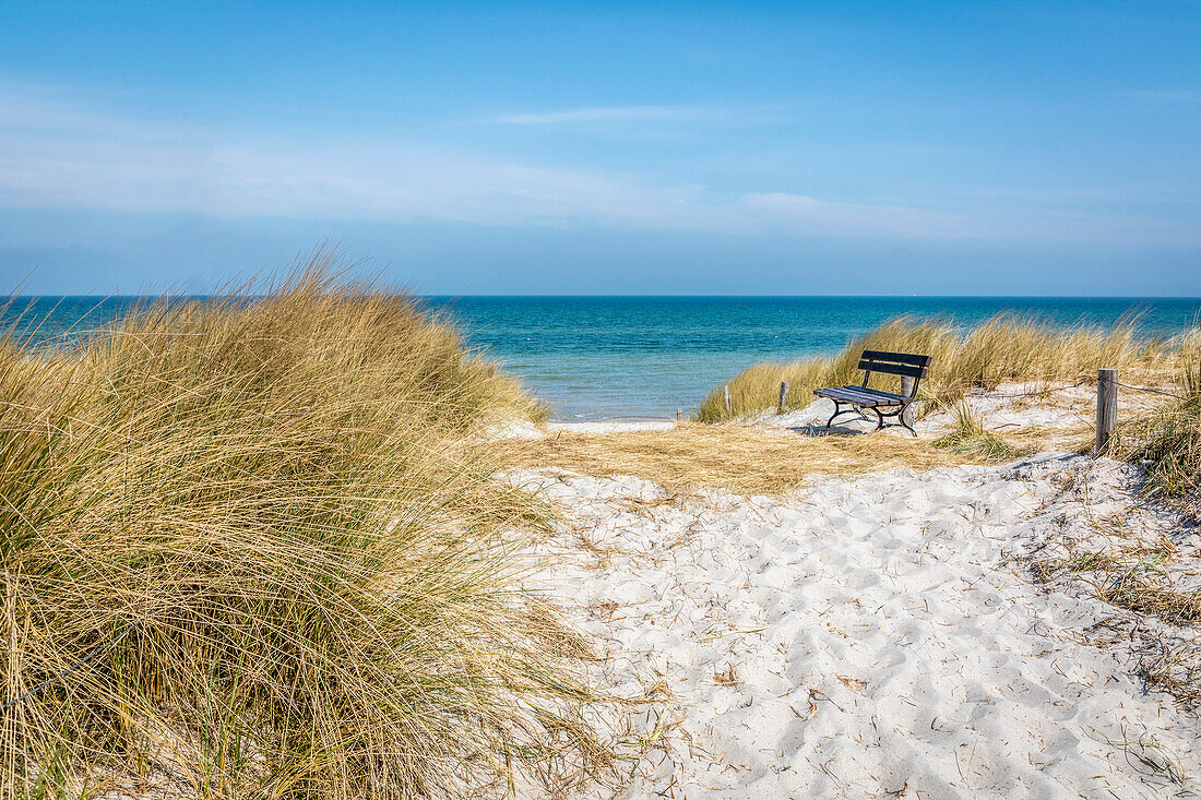 Strandzugang bei Prerow, Mecklenburg-Vorpommern, Norddeutschland, Deutschland