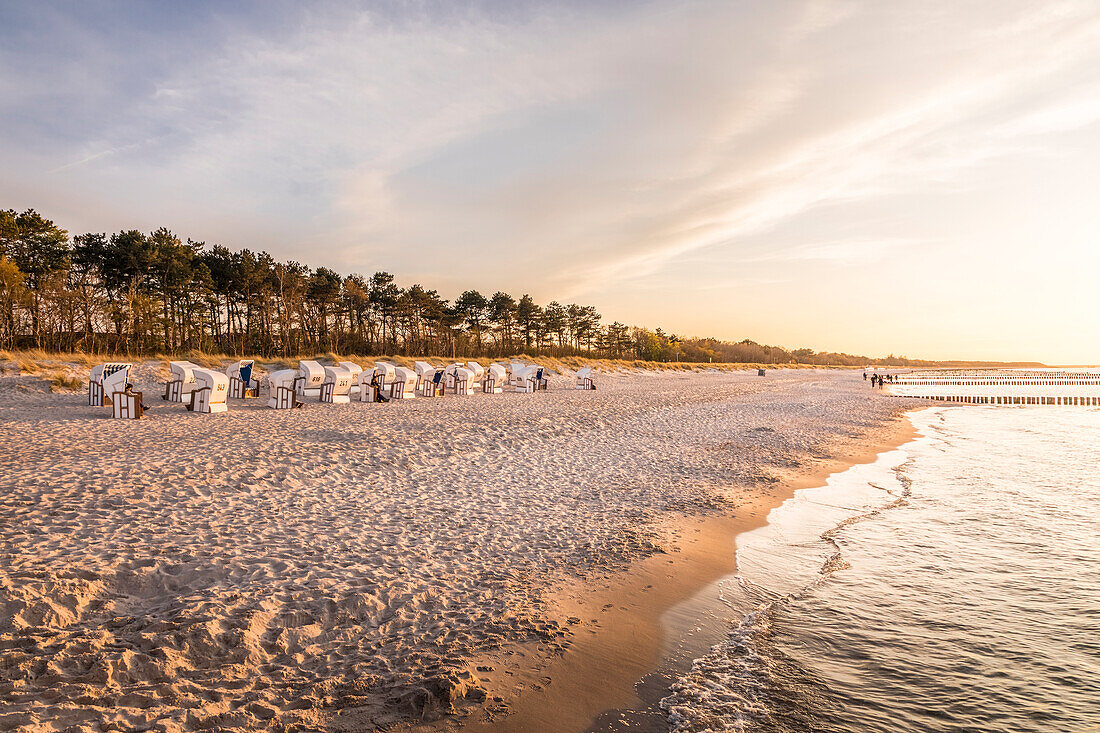Evening mood with beach chairs on the beach of Zingst, Mecklenburg-Western Pomerania, Baltic Sea, Northern Germany, Germany