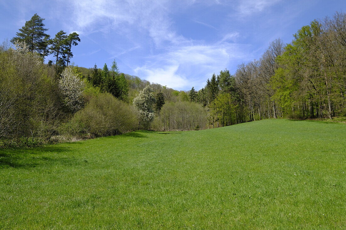 Landschaft am Seidenhäuser See bei Altershausen im Naturpark Hassberge, Unterfranken, Franken, Bayern, Deutschland