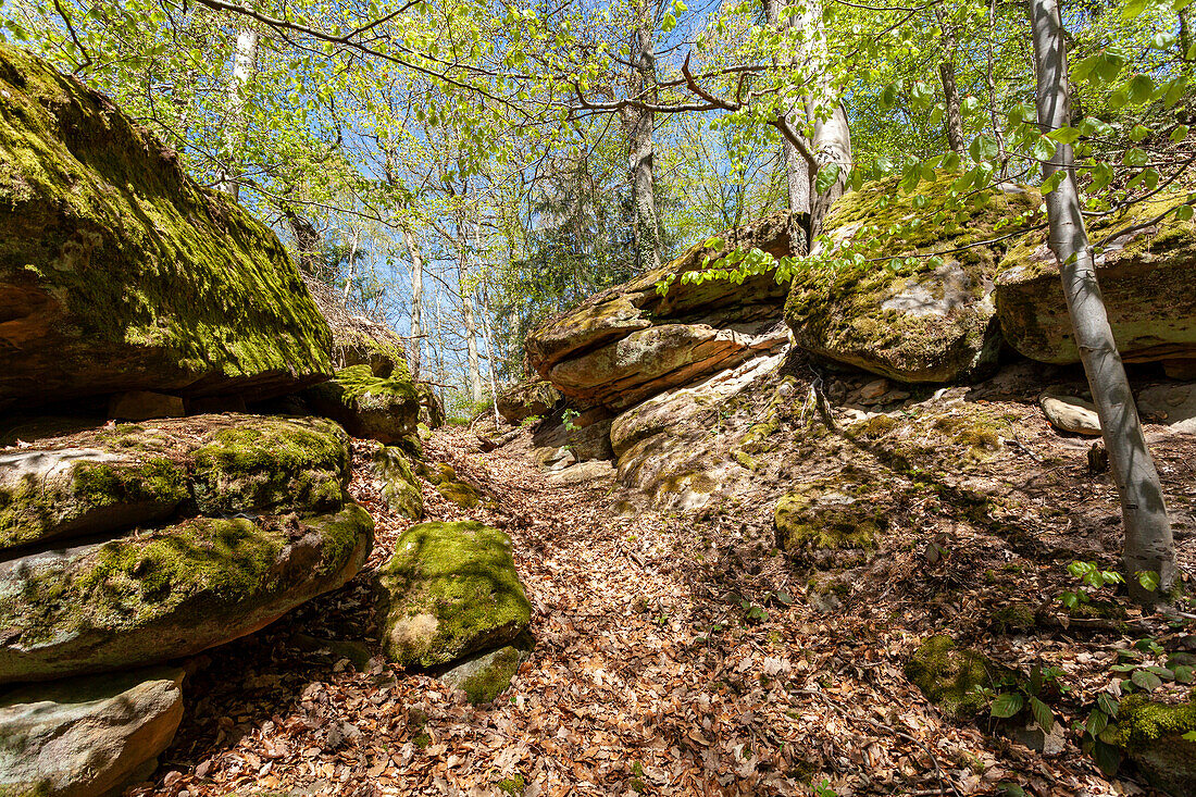 Felsenlabyrinth unterhalb der Ruine der Nordburg Lichtenstein in Lichtenstein, Naturpark Haßberge, Landkreis Hassberge, Unterfranken, Franken, Bayern, Deutschland