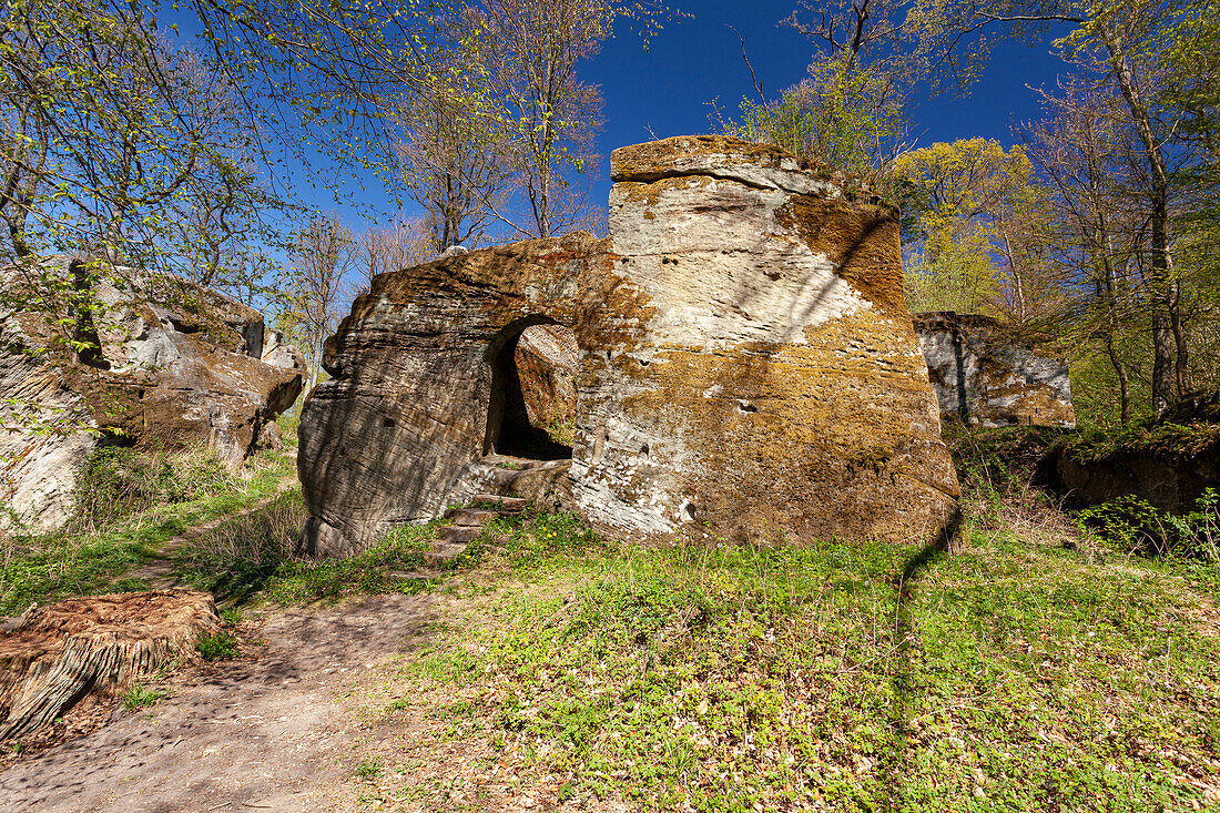 Castle ruins of the Felsenburg Rothenhahn in the Hassberge Nature Park, above the town of Eyrichshof, Ebern, Hassberge district, Lower Franconia, Franconia, Bavaria, Germany