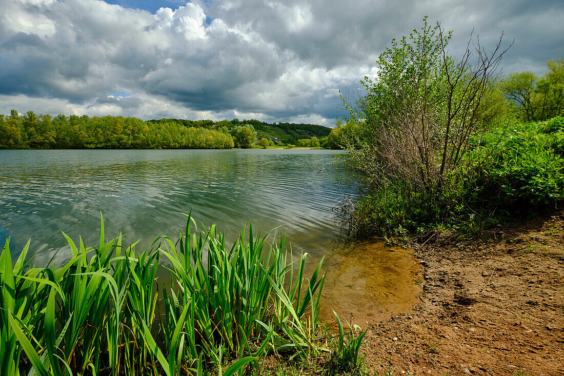 Naturschutzgebiet Altmain und Sandmagerrasen bei Limbach, Landkreis Hassberge, Unterfranken, Franken, Bayern, Deutschland