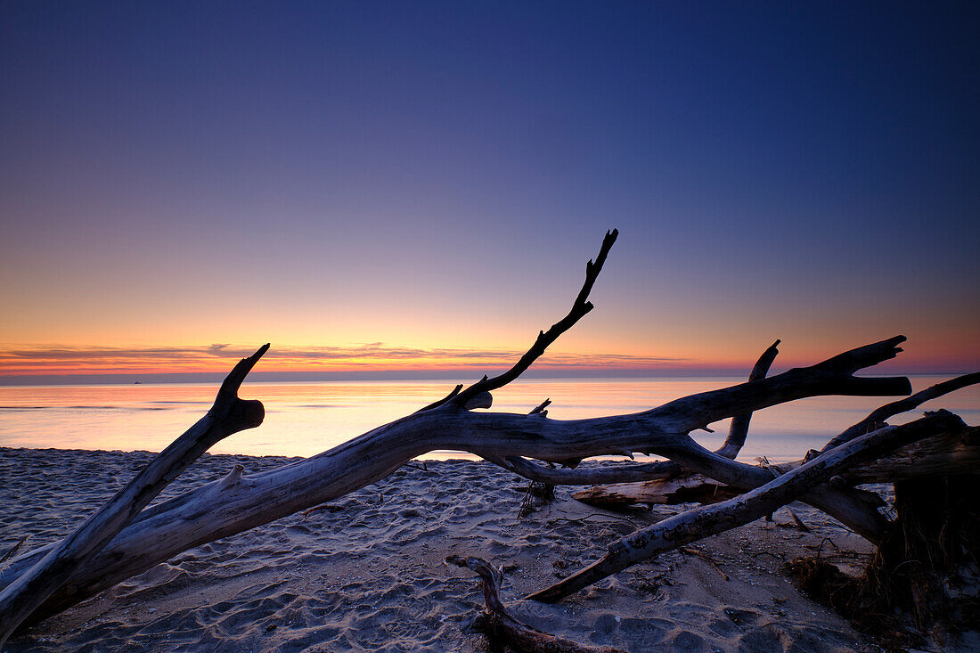 Lichtstimmung am Abend am Darßer Weststrand, Nationalpark Vorpommersche Boddenlandschaft, Mecklenburg Vorpommern, Deutschland