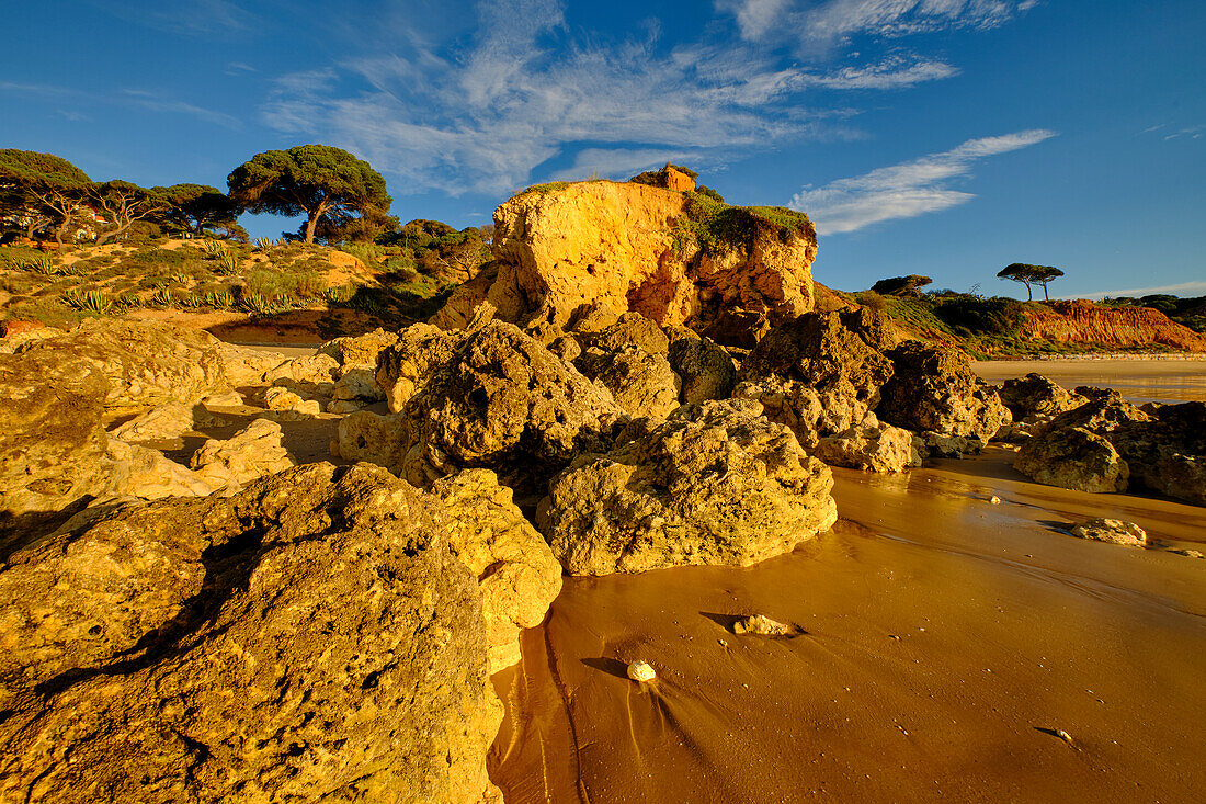 Sunrise on the Atlantic Ocean beach of the Rocky Algarve near Albufeira, Algarve, Barlavento, Western Algarve, Faro District, Portugal, Europe