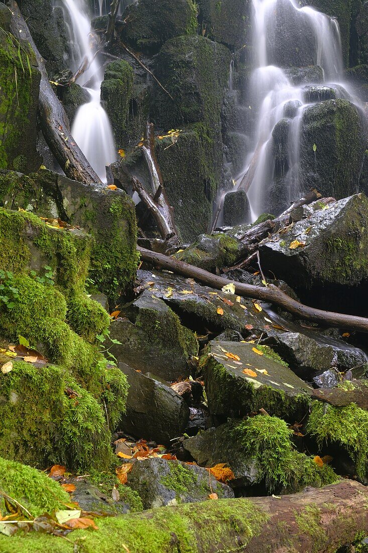 Der Wasserfall Teufelsmühle des Schwarzbach am Holzberghof, Biosphärenreservat Rhön, Landkreis Rhön-Grabfeld, Unterfranken, Franken, Bayern, Deutschland