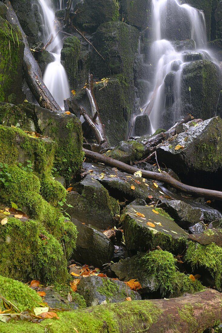 The Teufelsmühle waterfall of the Schwarzbach am Holzberghof above the town of Bischofsheim adRhön, Rhön biosphere reserve, Rhön-Grabfeld district, Lower Franconia, Franconia, Bavaria, Germany