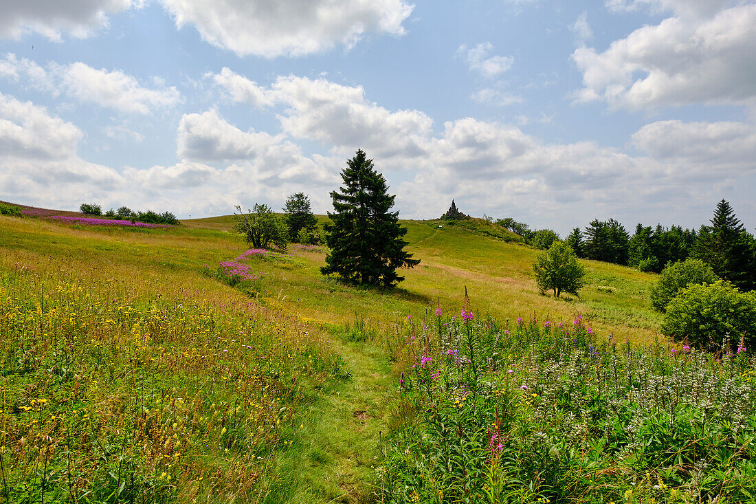 Die Wasserkuppe, der höchste Berg der Rhön im Herbst, Biosphärenreservat Rhön, Hessen, Deutschland