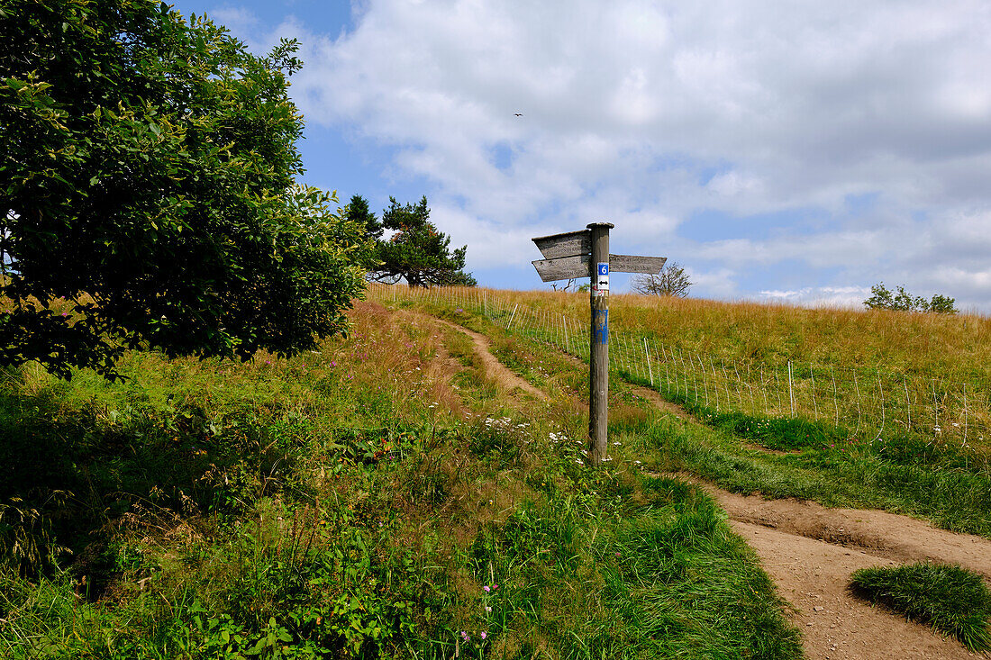 Die Wasserkuppe, der höchste Berg der Rhön im Herbst, Biosphärenreservat Rhön, Hessen, Deutschland