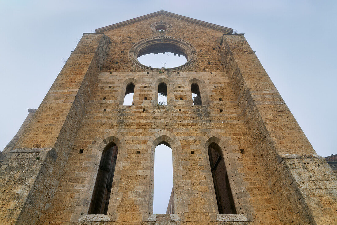 Die Abbazia San Galgano im dichten Morgennebel, Chiusdino, Siena, Toskana, Italien, Europa