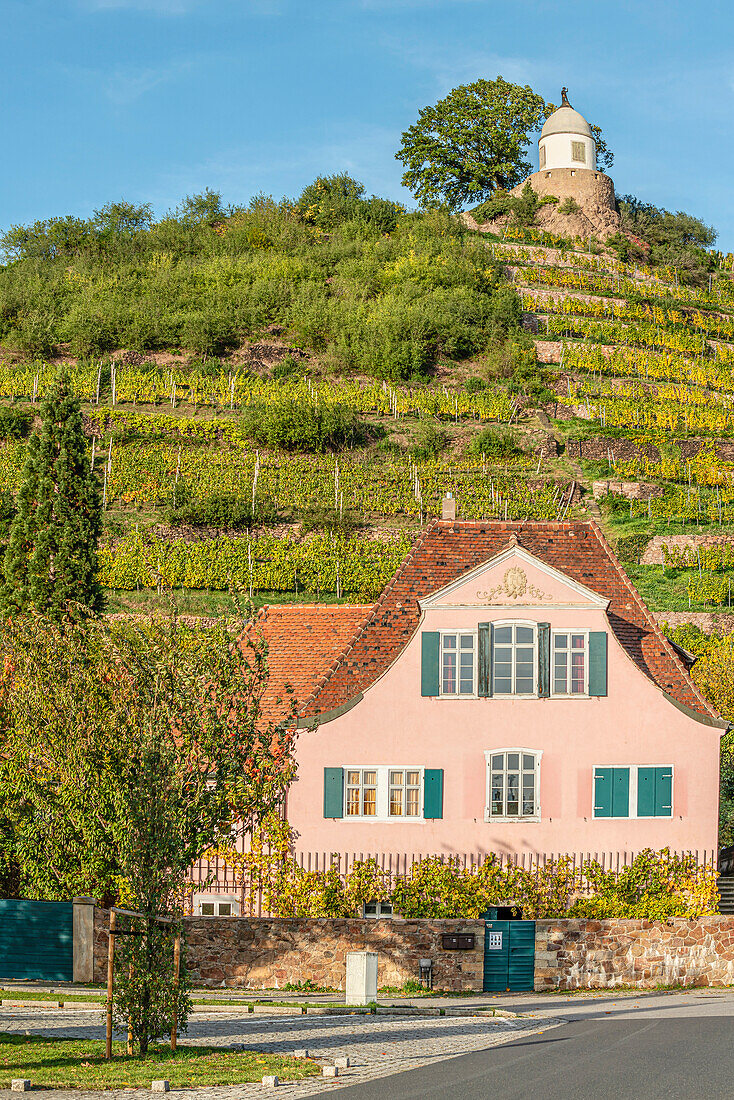 Jacobstein in the Schloss Wackerbarth winery, Radebeul, Saxony, Germany