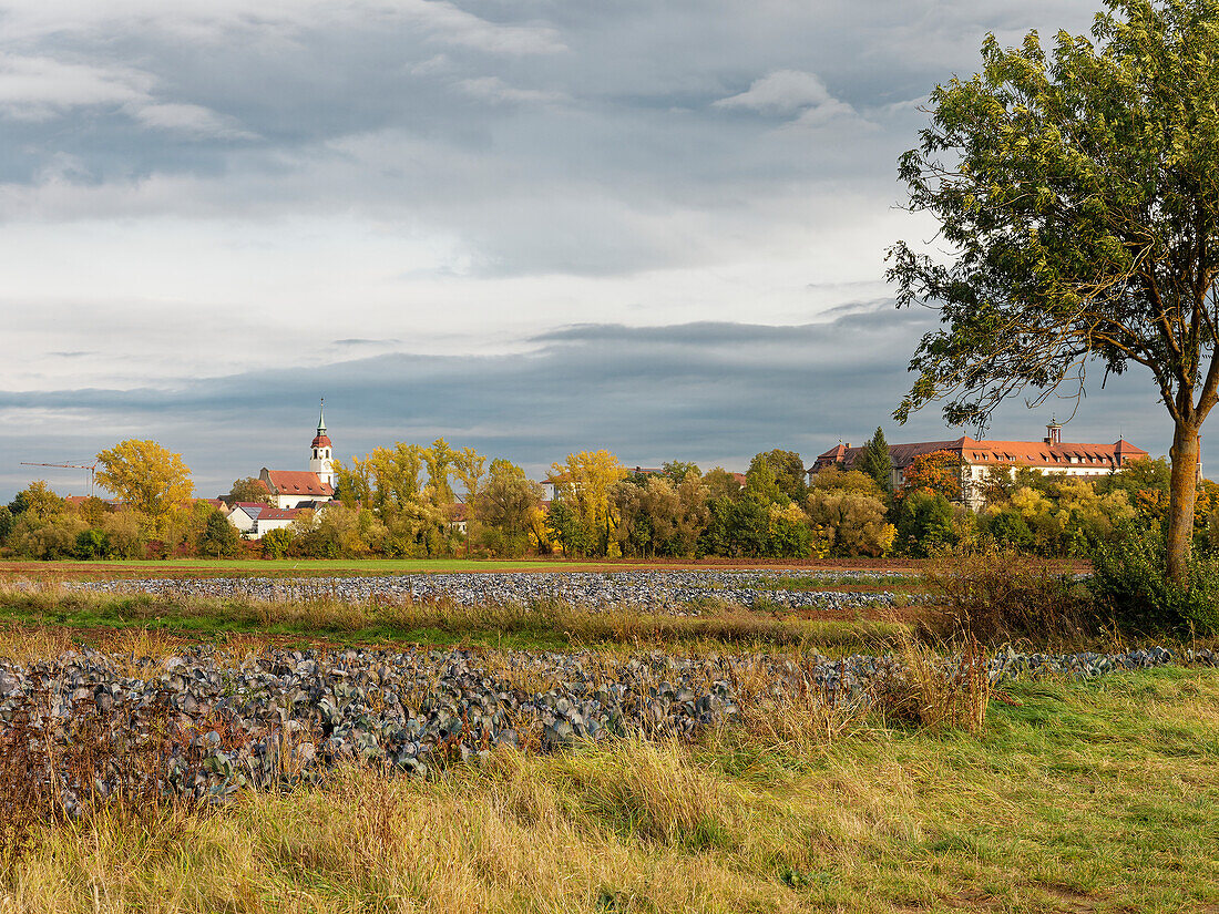 View of Heidenfeld with its pilgrimage church and the Heidenfeld monastery also Maria Hilf monastery, Röthlein municipality, Schweinfurt district, Lower Franconia, Franconia, Bavaria, Germany