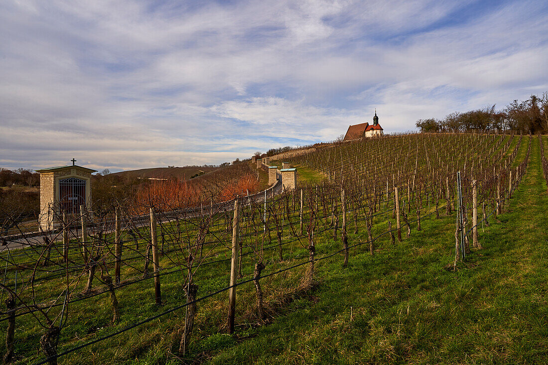 Maria im Weingarten church and vineyards near Volkach, Kitzingen district, Unterfanken, Bavaria, Germany