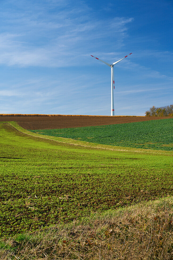 Landschaft und Weinberge an der Volkacher Mainschleife bei Neuses am Berg, Stadt Dettelbach, Landkreis Kitzingen, Unterfanken, Bayern, Deutschland