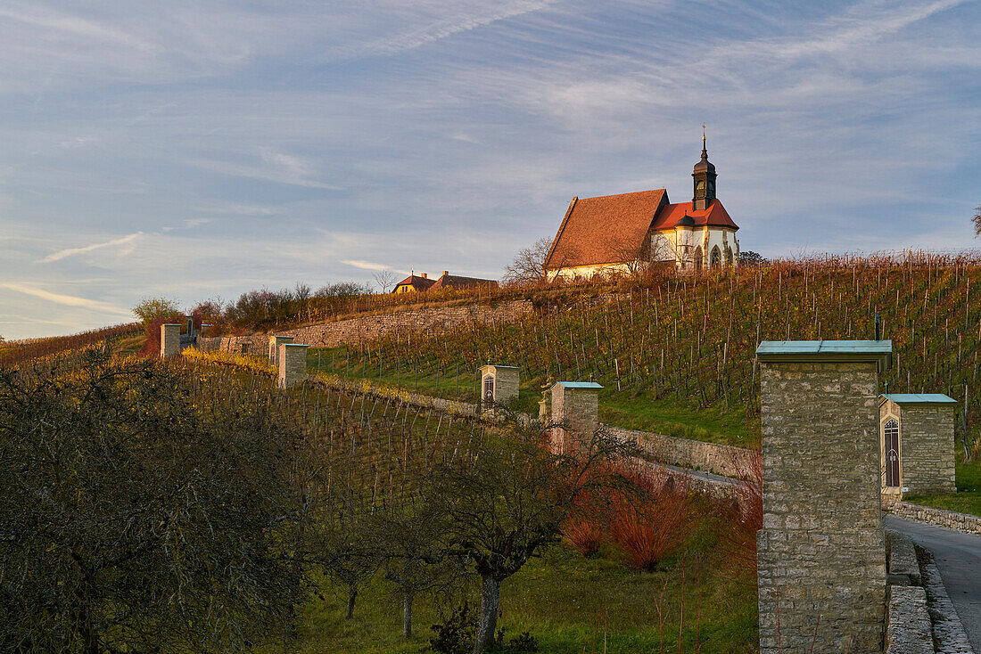 Kirche Maria im Weingarten und Weinberge bei Volkach, Landkreis Kitzingen, Unterfanken, Bayern, Deutschland